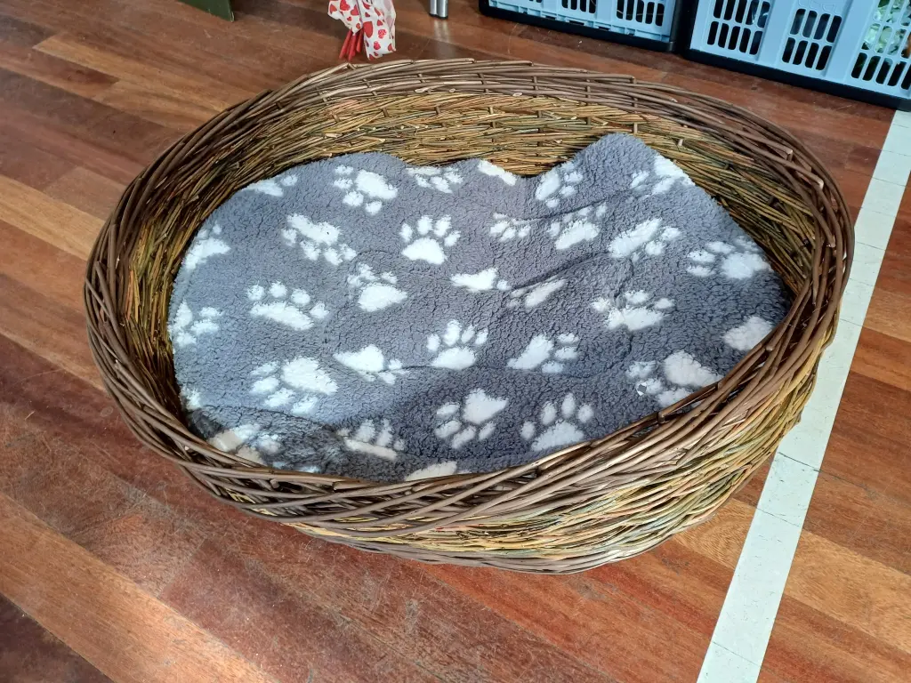 Dog Basket